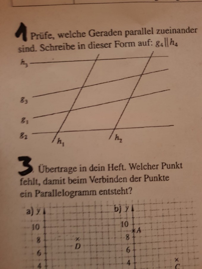 Prüfe, welche Geraden zueinander parallel sind | Mathelounge