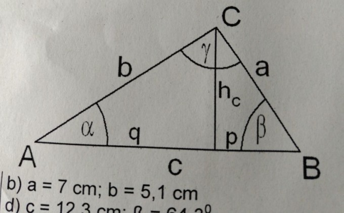 Trigonometrie - Rechtwinklige Dreiecke berechnen 